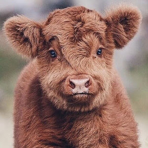 Meet your Posher, Mairead